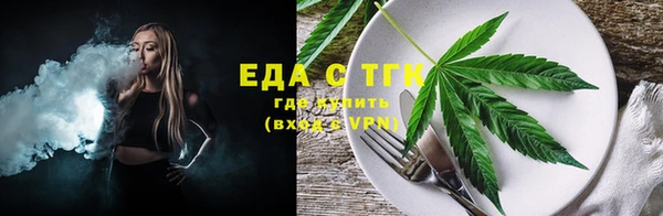 индика Горняк