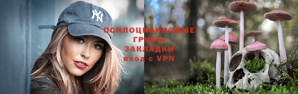 гидропоника Горно-Алтайск