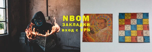 индика Горняк