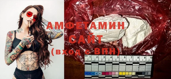 индика Горняк