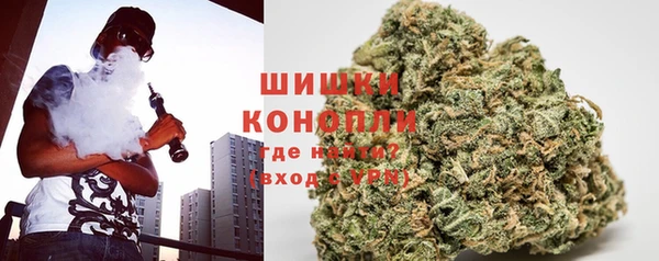 индика Горняк