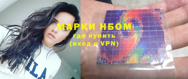 индика Горняк