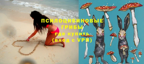 гидропоника Горно-Алтайск
